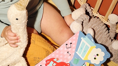 livre b&eacute;b&eacute; bonne nuit arrhenius